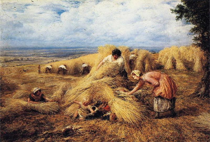  The Harvest Cradle